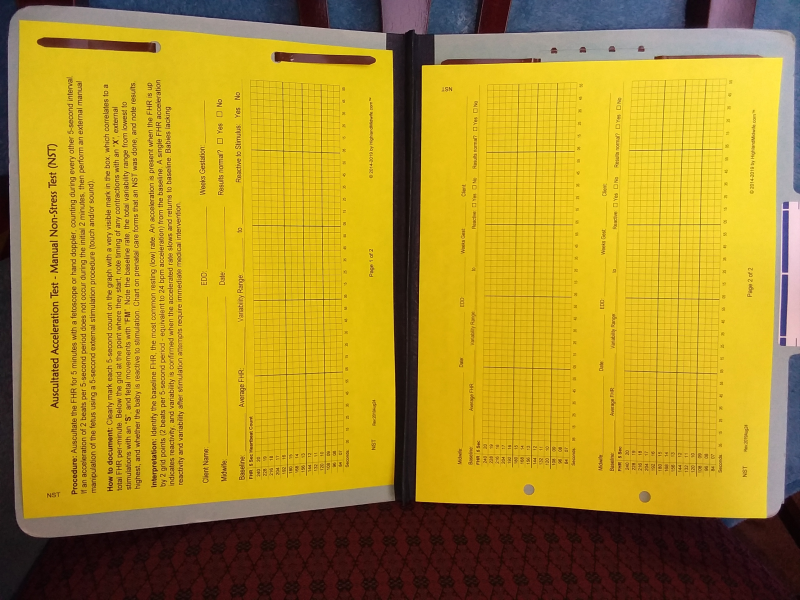 Midwife Charts - NST (image for) Midwife Charts - NST
