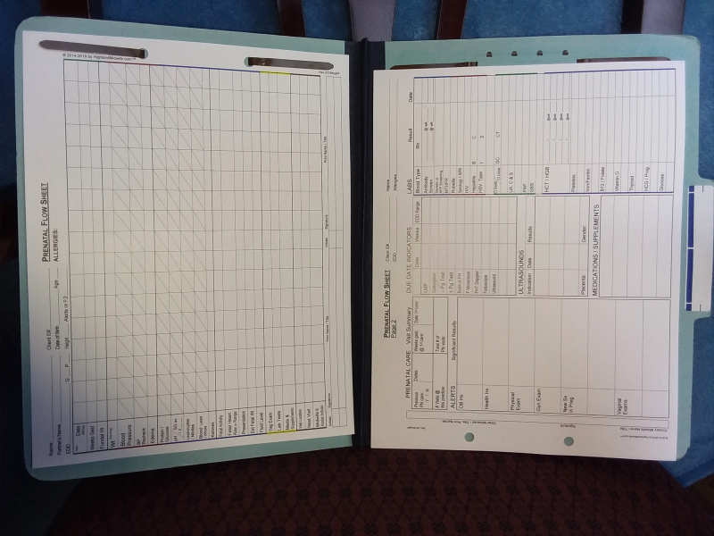 Midwife Charts - Prenatal Flow Sheet (image for) Midwife Charts - Prenatal Flow Sheet