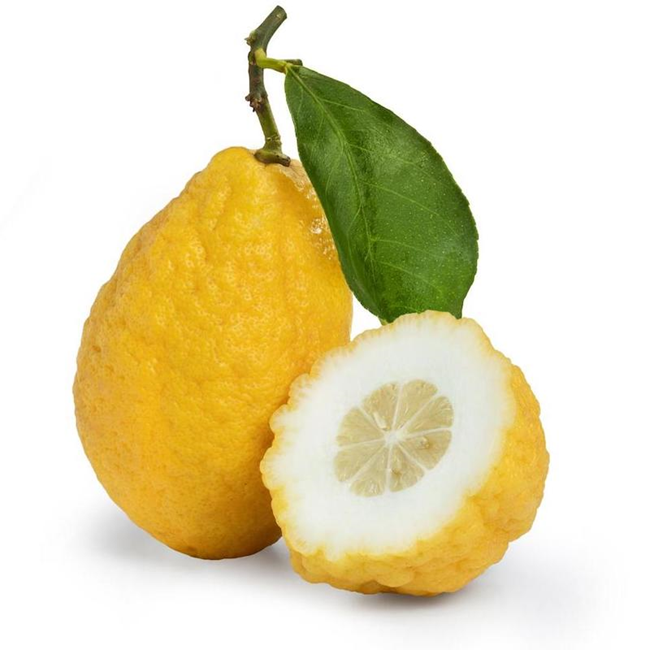 Citron essential oil (image for) Citron essential oil