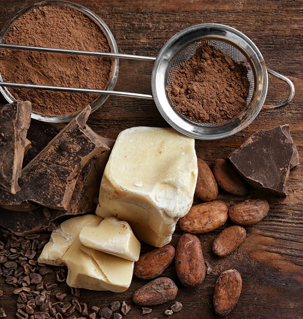 Cocoa Bean Butter oil (image for) Cocoa Bean Butter oil