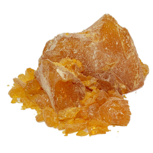 Copaiba Balsam essential oil (image for) Copaiba Balsam essential oil