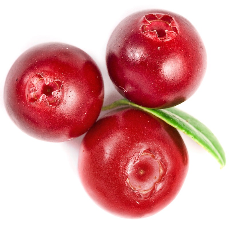 Cranberry Arctic Seed oil (image for) Cranberry Arctic Seed oil