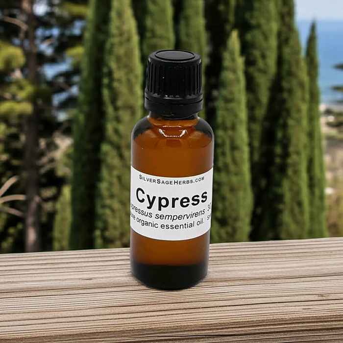 Cypress essential oil (image for) Cypress essential oil