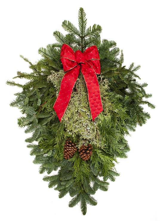 Evergreen Boughs essential oils (image for) Evergreen Boughs essential oils