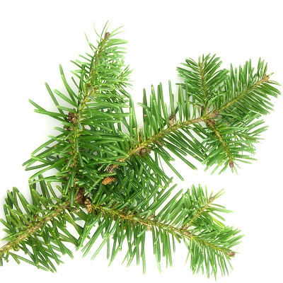 Fir, Balsam essential oil (image for) Fir, Balsam essential oil