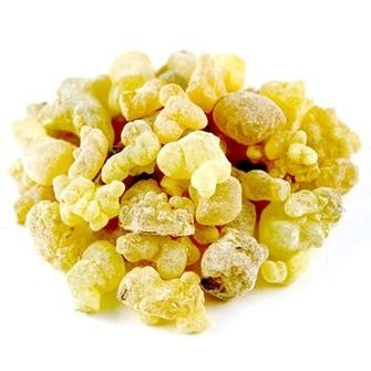Frankincense, Maydi Frereana essential oil (image for) Frankincense, Maydi Frereana essential oil
