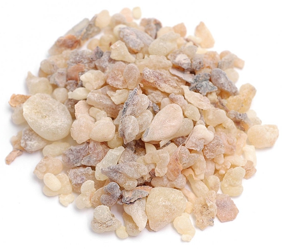 Frankincense, Indian Serrata essential oil (image for) Frankincense, Indian Serrata essential oil