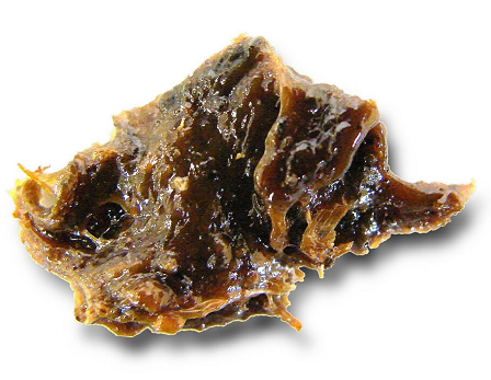 Galbanum resin oil (image for) Galbanum resin oil
