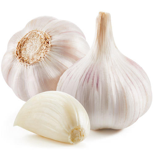 Garlic seed essential oil (image for) Garlic seed essential oil