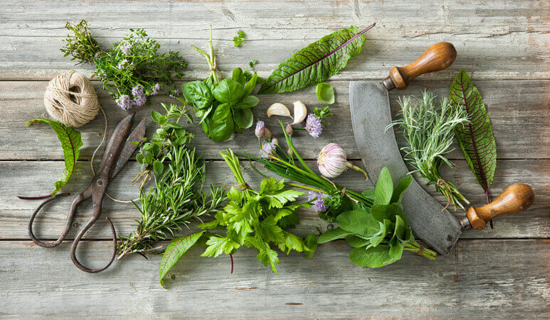 Italian Herb essential oils (image for) Italian Herb essential oils