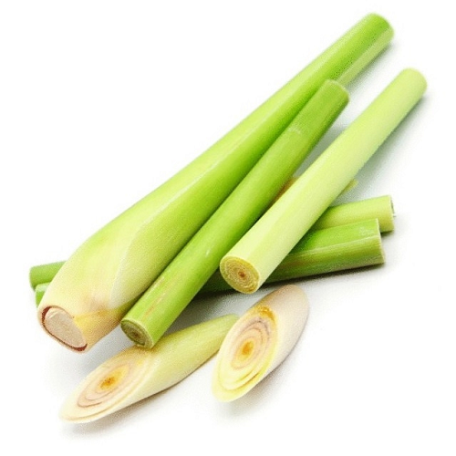 LemonGrass essential oil (image for) LemonGrass essential oil
