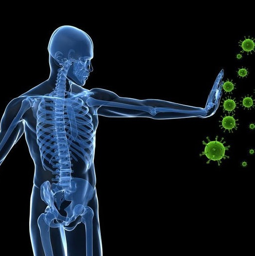 The Plague 2020 essential oils (image for) The Plague 2020 essential oils