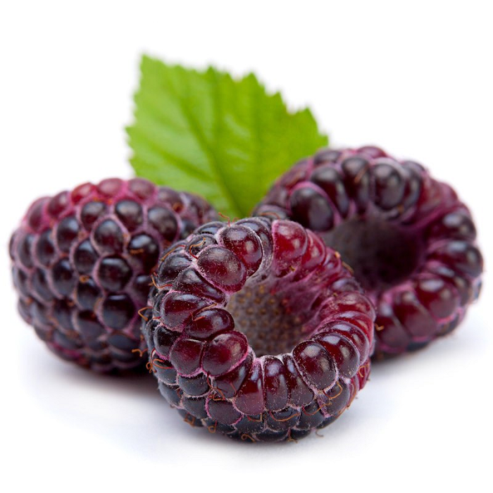Raspberry Black Seed oil (image for) Raspberry Black Seed oil