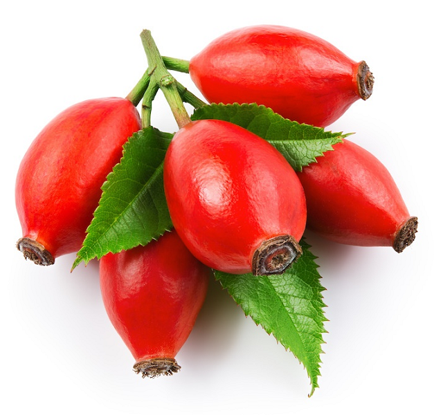 Rose Hip Seed oil (image for) Rose Hip Seed oil