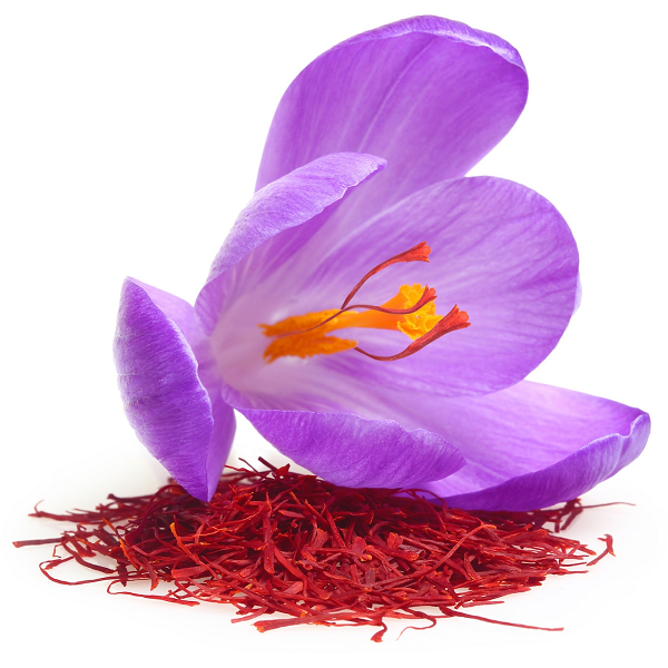Saffron (Kesar) oil (image for) Saffron (Kesar) oil