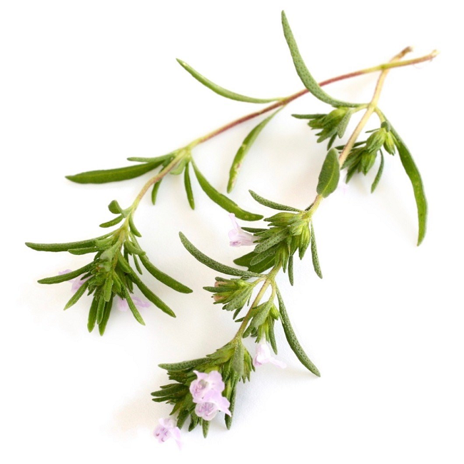 Savory Summer essential oil (image for) Savory Summer essential oil