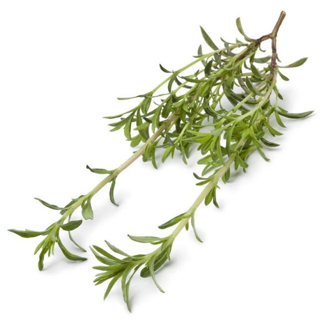 Savory Winter essential oil (image for) Savory Winter essential oil