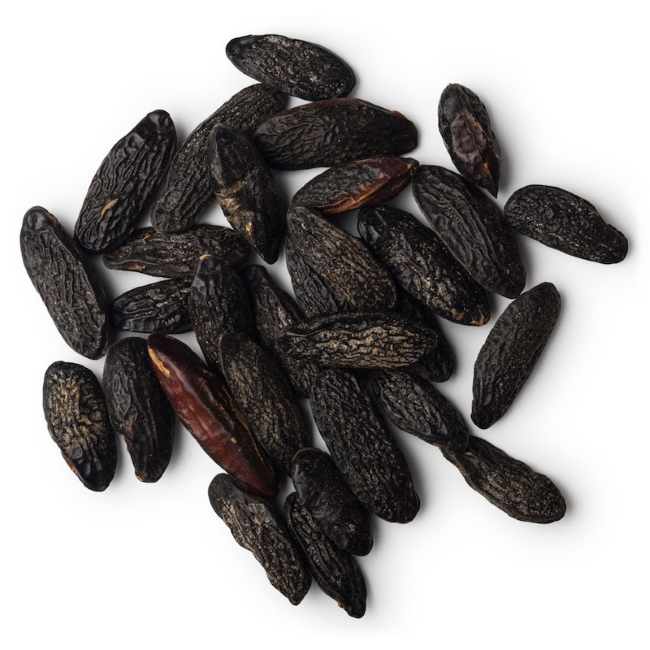 Tonka Bean absolute oil (image for) Tonka Bean absolute oil