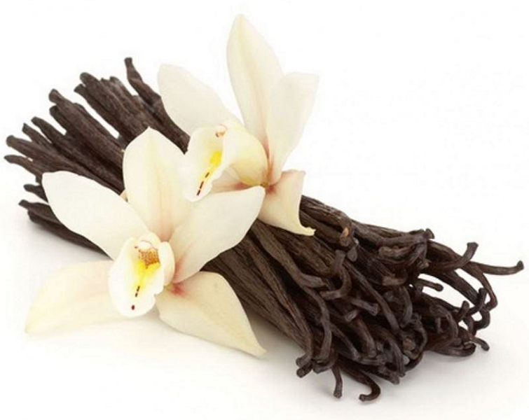 Vanilla absolute oil (image for) Vanilla absolute oil