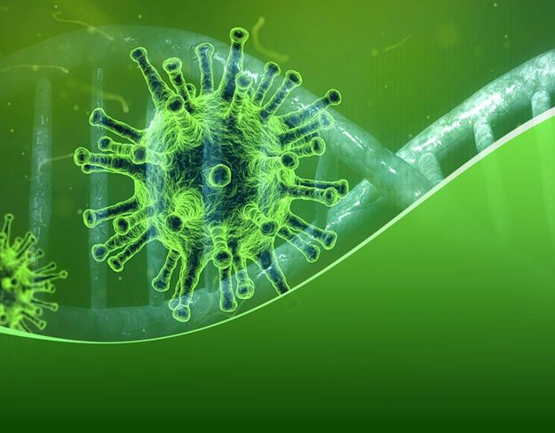 Virus Relief essential oils (image for) Virus Relief essential oils