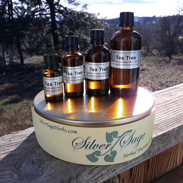 Organic Essential Oils Carriers Absolutes at Silver Sage Herbs