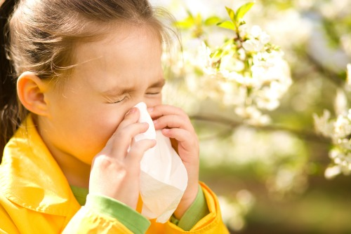 AllergEase (image for) AllergEase