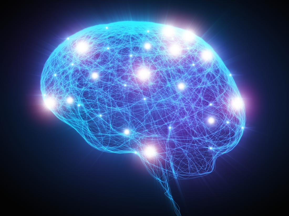 Brain Support: Think Again (image for) Brain Support: Think Again