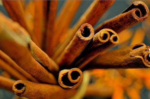 Cinnamon (image for) Cinnamon