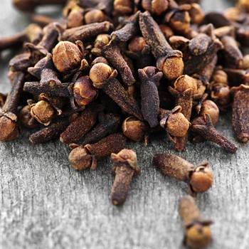 Clove (image for) Clove